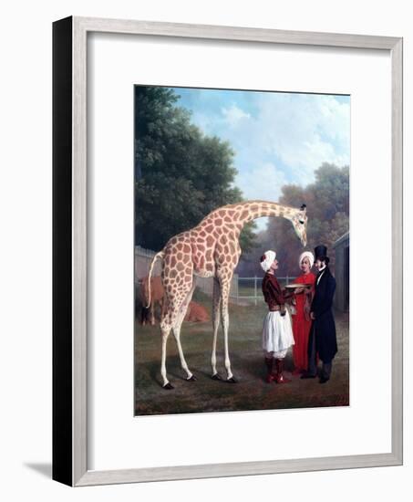 Nubian Giraffe-Jacques-Laurent Agasse-Framed Premium Giclee Print