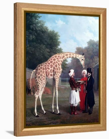 Nubian Giraffe-Jacques-Laurent Agasse-Framed Premier Image Canvas