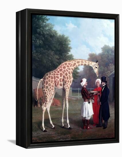 Nubian Giraffe-Jacques-Laurent Agasse-Framed Premier Image Canvas