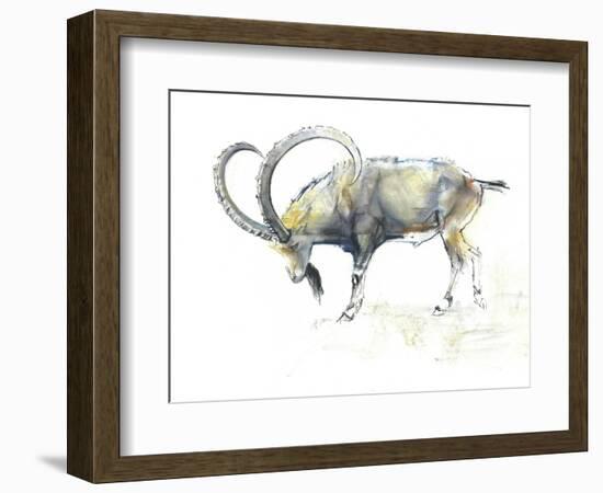 Nubian Ibex, 2008-Mark Adlington-Framed Giclee Print