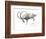 Nubian Ibex, 2008-Mark Adlington-Framed Giclee Print