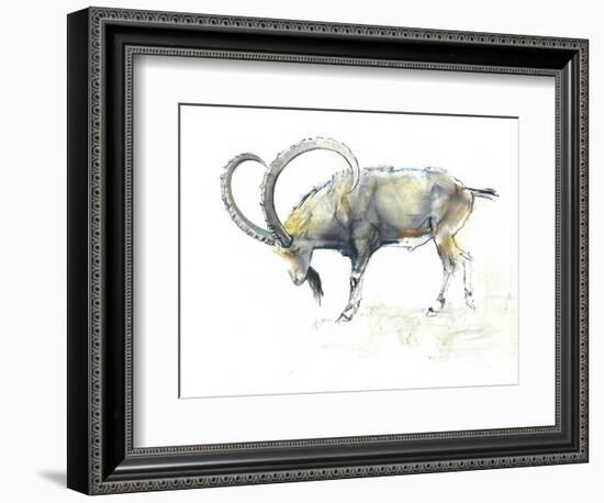 Nubian Ibex, 2008-Mark Adlington-Framed Giclee Print