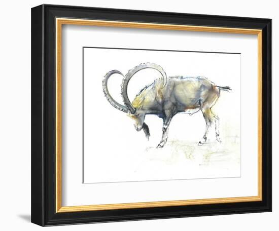 Nubian Ibex, 2008-Mark Adlington-Framed Giclee Print