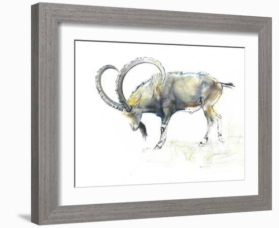 Nubian Ibex, 2008-Mark Adlington-Framed Giclee Print