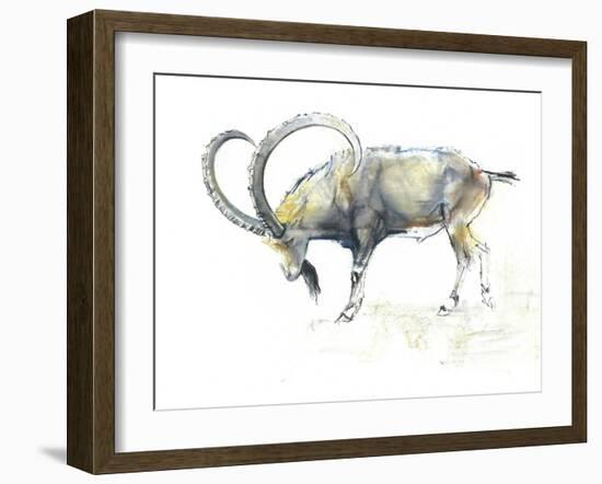 Nubian Ibex, 2008-Mark Adlington-Framed Giclee Print