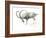 Nubian Ibex, 2008-Mark Adlington-Framed Giclee Print