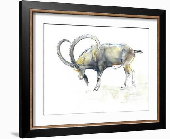 Nubian Ibex, 2008-Mark Adlington-Framed Giclee Print