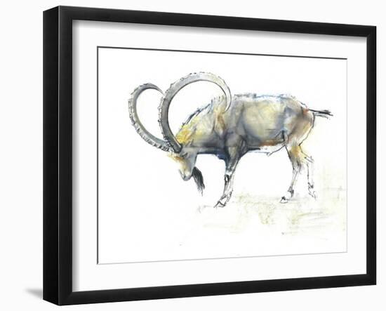 Nubian Ibex, 2008-Mark Adlington-Framed Giclee Print