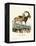 Nubian Ibex-null-Framed Premier Image Canvas