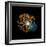 Nuclear Fission, Artwork-Crown-Framed Premium Photographic Print