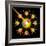 Nuclear Fission-David Nicholls-Framed Premium Photographic Print