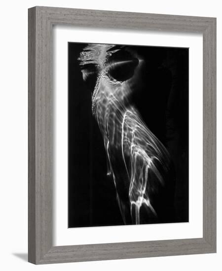 Nude, 1978 (gelatin silver print)-Brett Weston-Framed Photographic Print