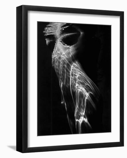 Nude, 1978 (gelatin silver print)-Brett Weston-Framed Photographic Print