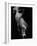 Nude, 1978 (gelatin silver print)-Brett Weston-Framed Photographic Print
