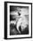 Nude As Mermaid, 1898-Gulick-Framed Photographic Print