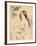 Nude bather, 1906 (etching)-Pierre Auguste Renoir-Framed Giclee Print