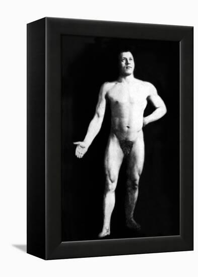 Nude Bodybuilder-null-Framed Stretched Canvas