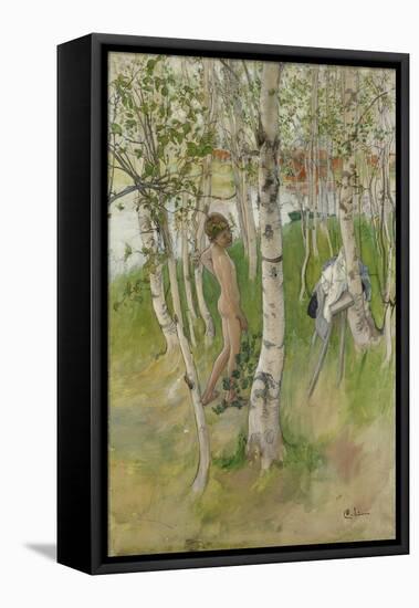 Nude Boy among Birches, 1898-Carl Larsson-Framed Premier Image Canvas