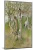 Nude Boy among Birches, 1898-Carl Larsson-Mounted Giclee Print