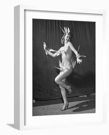 Nude Burlesque Dancer from "Folies Bergere"-Ralph Morse-Framed Photographic Print