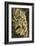 Nude Descending Stair-Marcel Duchamps-Framed Art Print