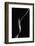 Nude Detail-Jan Blasko-Framed Photographic Print