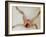 Nude Female Lying on Her Back-Auguste Rodin-Framed Giclee Print