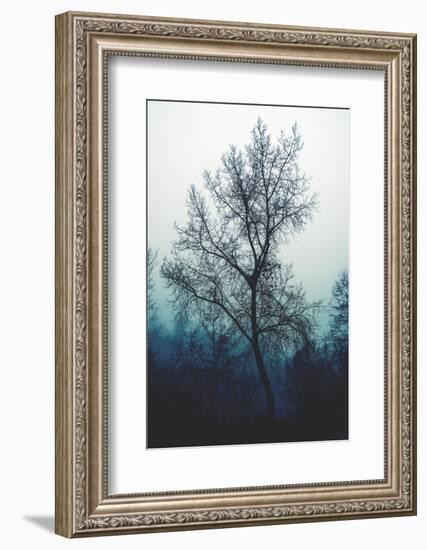 Nude for winter-Philippe Sainte-Laudy-Framed Photographic Print