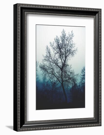 Nude for winter-Philippe Sainte-Laudy-Framed Photographic Print