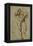 Nude Male Figure Seen Frontally, circa 1502-1506-Michelangelo Buonarroti-Framed Premier Image Canvas
