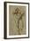 Nude Male Figure Seen Frontally, circa 1502-1506-Michelangelo Buonarroti-Framed Giclee Print