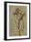 Nude Male Figure Seen Frontally, circa 1502-1506-Michelangelo Buonarroti-Framed Giclee Print