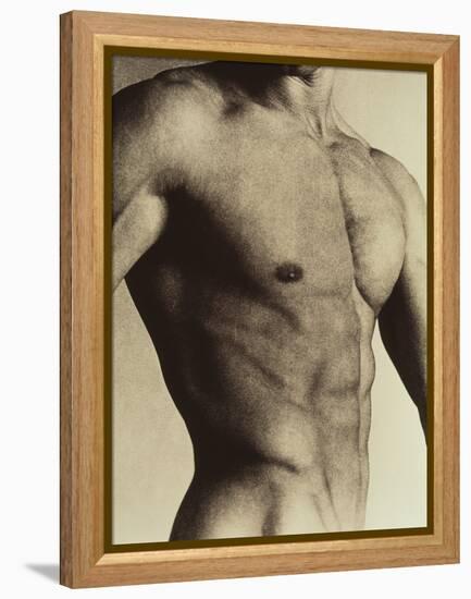 Nude Man's Torso-Cristina-Framed Premier Image Canvas