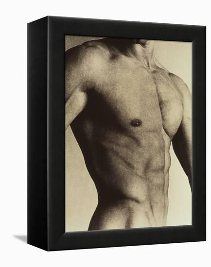 Nude Man's Torso-Cristina-Framed Premier Image Canvas
