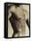 Nude Man's Torso-Cristina-Framed Premier Image Canvas