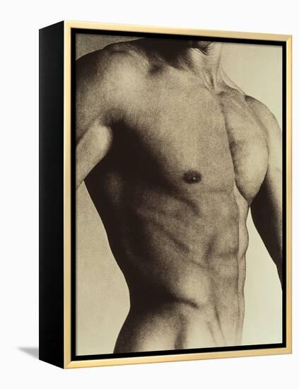 Nude Man's Torso-Cristina-Framed Premier Image Canvas