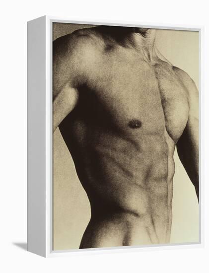 Nude Man's Torso-Cristina-Framed Premier Image Canvas