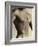 Nude Man's Torso-Cristina-Framed Photographic Print