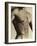 Nude Man's Torso-Cristina-Framed Photographic Print