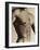 Nude Man's Torso-Cristina-Framed Photographic Print