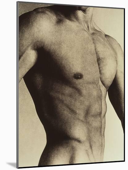 Nude Man's Torso-Cristina-Mounted Photographic Print