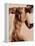Nude Man-Cristina-Framed Premier Image Canvas