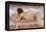 Nude of Woman-Joaquín Sorolla y Bastida-Framed Stretched Canvas