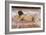 Nude of Woman-Joaquín Sorolla y Bastida-Framed Art Print