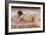 Nude of Woman-Joaquín Sorolla y Bastida-Framed Art Print