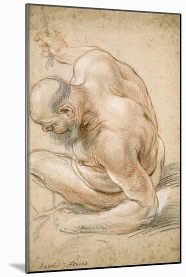Nude Old Man Seated, Leaning on His Forearm, Facing Left, C.1640-Jacob Jordaens-Mounted Giclee Print