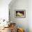Nude on a Blue Cushion-Amedeo Modigliani-Framed Premium Giclee Print displayed on a wall