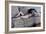 Nude on a Couch, C.1880-Gustave Caillebotte-Framed Giclee Print