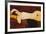 Nude Reclining-Amedeo Modigliani-Framed Art Print