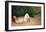 Nude Sleeping by the River Bank-Félix Vallotton-Framed Giclee Print